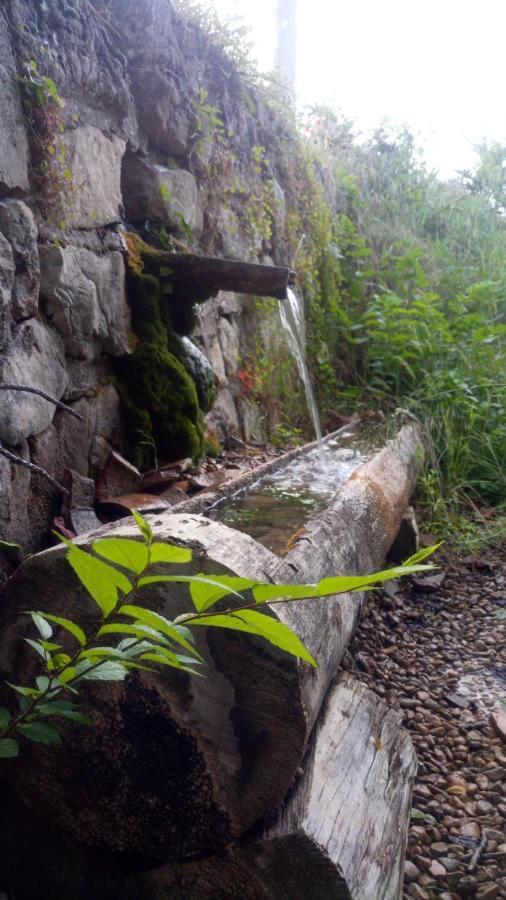 Hotel Rio Escabas, Serrania De Cuenca Cañamares エクステリア 写真