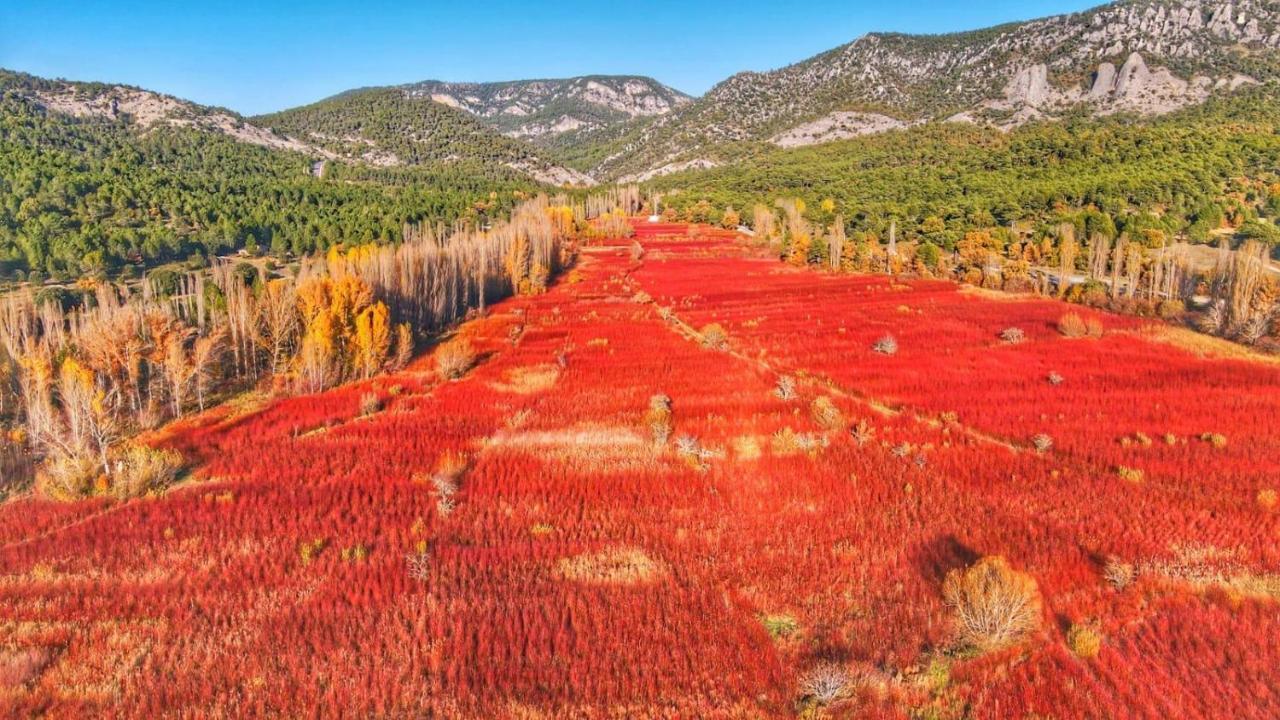 Hotel Rio Escabas, Serrania De Cuenca Cañamares エクステリア 写真