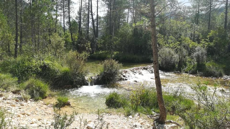 Hotel Rio Escabas, Serrania De Cuenca Cañamares エクステリア 写真