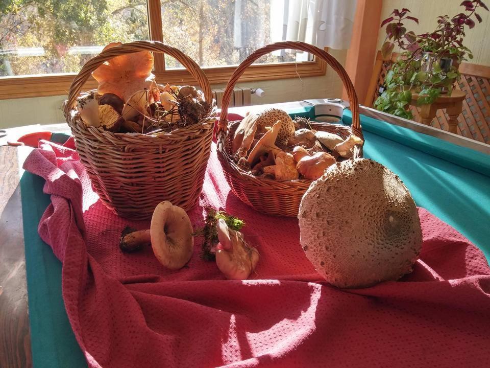 Hotel Rio Escabas, Serrania De Cuenca Cañamares エクステリア 写真