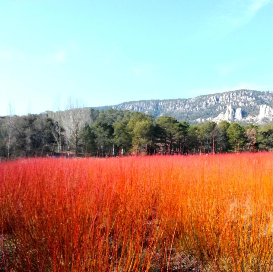 Hotel Rio Escabas, Serrania De Cuenca Cañamares エクステリア 写真